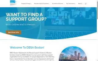 DBSA-Boston - Netfirms website