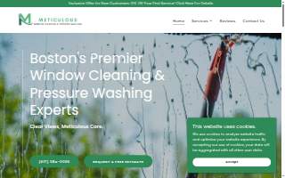 Meticulous Window Cleaning & Pressure Washing