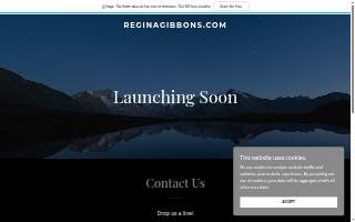 Regina Gibbons, MBA, Lic. Ac.