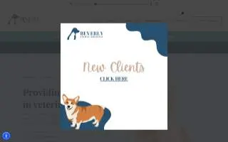 Beverly Animal Hospital website