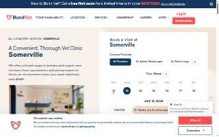 Bond Vet - Somerville of Boston website