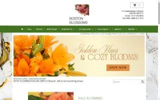 Boston Blossoms website