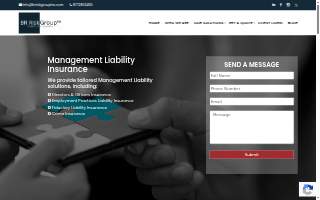 BR Risk Group Specialty Insurance