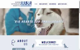 Huron Veterinary Hospital of Boston website