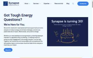Synapse Energy Economics Inc