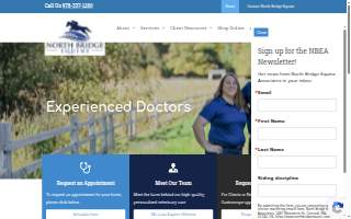 North Bridge Equine Associates website