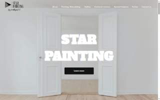 Star Painting Service Group Inc