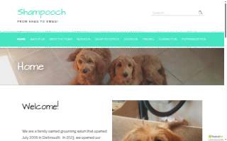 Shampooch Dartmouth