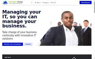 Tech Wave Group website
