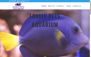 Lovely Pets Aquarium of Duxbury