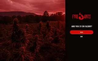 Fyre Ants Dispensary website