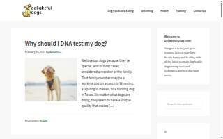 Delightful Dogs Dog Training