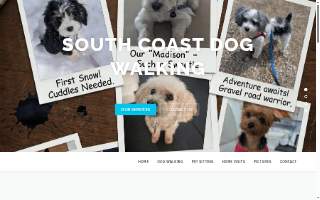 South Coast Dog Walking