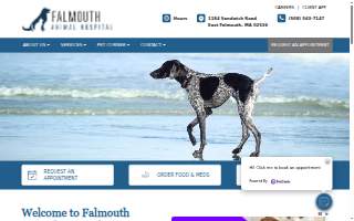 Falmouth Animal Hospital website