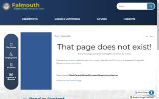 Falmouth Town Council On Aging
