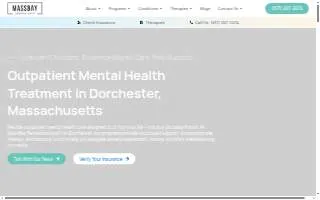 Mass Bay Behavioral Health website