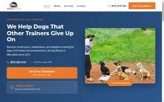Boston Dogtor of Framingham website