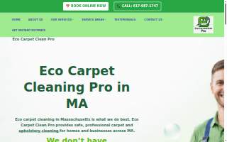 Eco Carpet Clean Pro