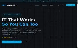Pro Tech Guy website