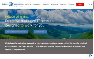 Balsam Technologies Inc