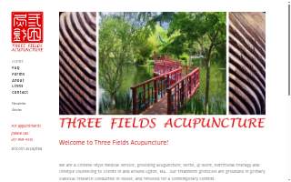 Three Fields Acupuncture