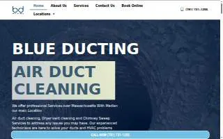 Blue Ducting Hingham Chimney & Air Duct Clean website
