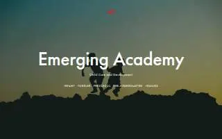 Emerging Academy website