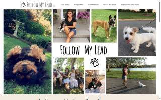 Follow My Lead Dog Training of Holbrook