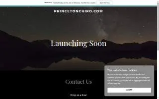 Princeton Family Chiropractic, PC website