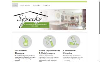 Squeeky Cleaners