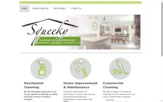 Squeeky Cleaners website