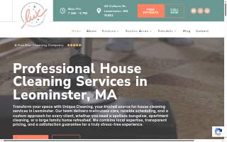 Lux Professional Cleaning Service