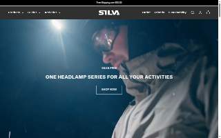 Silva Joaquim website