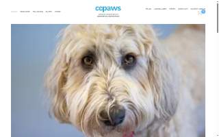 Creature Comforts and Pawsitively Marblehead