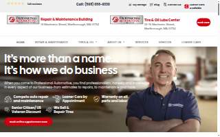 Professional Automotive