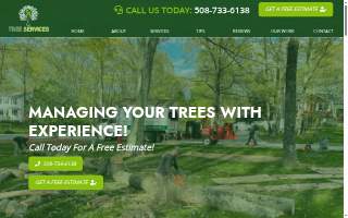 S1 Tree Services