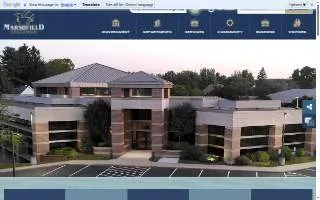 Marshfield Tree Services website