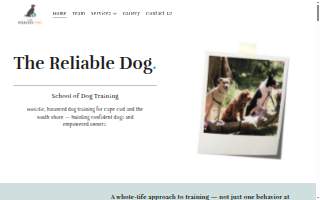The Reliable Dog
