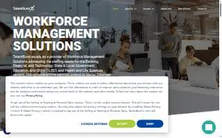 TalentBurst Inc of Medfield website