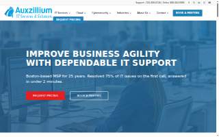 Auxzillium - IT Services & Solutions