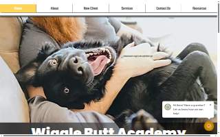 The Dog Behavior Institute
