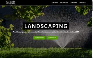 Tony Colella Landscaping