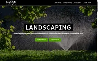 Tony Colella Landscaping website
