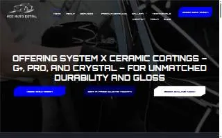 Ace Auto Detail website