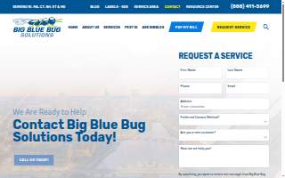 Big Blue Bug Solutions