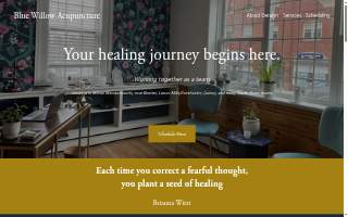 Blue Willow Acupuncture