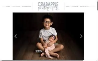 Crabapple Photography of Milton website