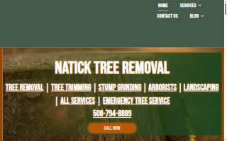 Natick Tree Removal