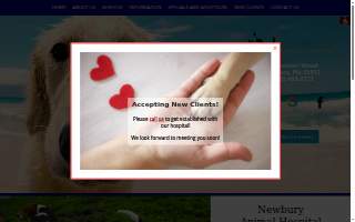 Newbury Animal Hospital website
