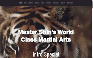 Master Shin's World Class Martial Arts of North Andover